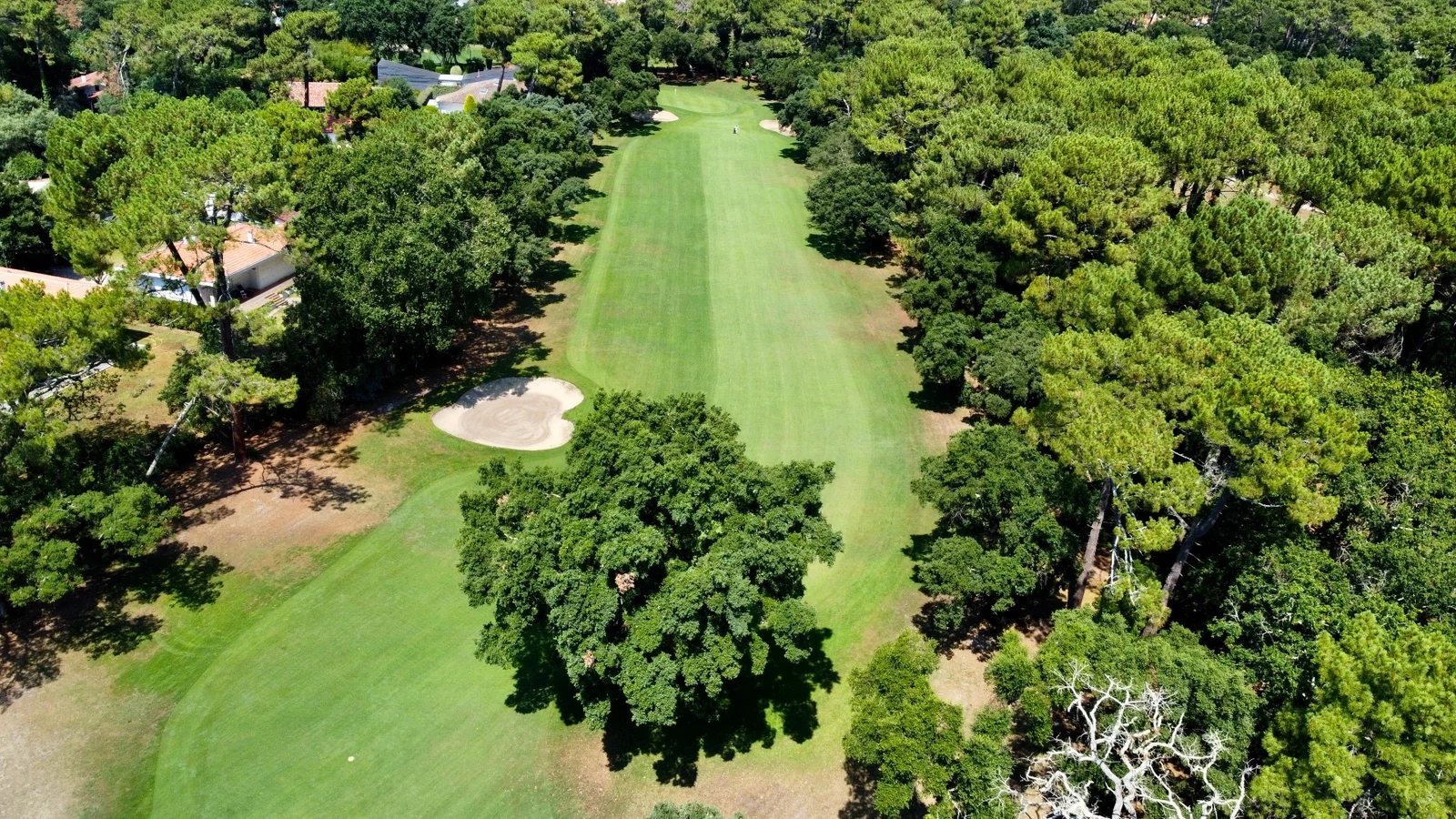 Vue aérienne d’un fairway boisé et de ses bunkers au Golf Club d’Hossegor.