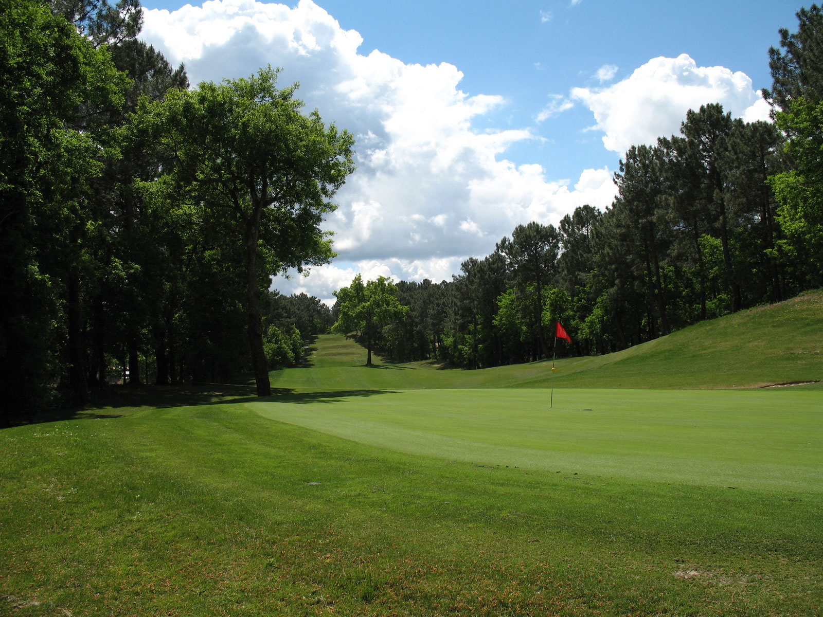 Green et fairway entre les pins au Golf de Biscarrosse.