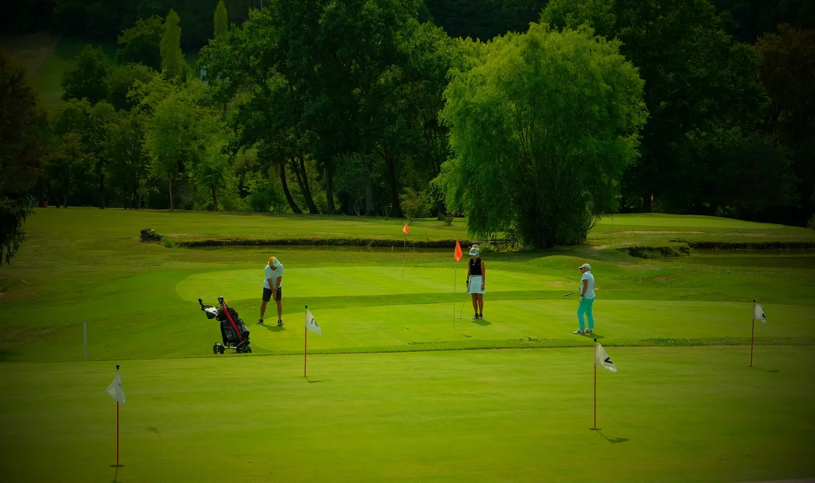 Golfeurs sur une zone de petit jeu du Golf de Salies-de-Béarn.