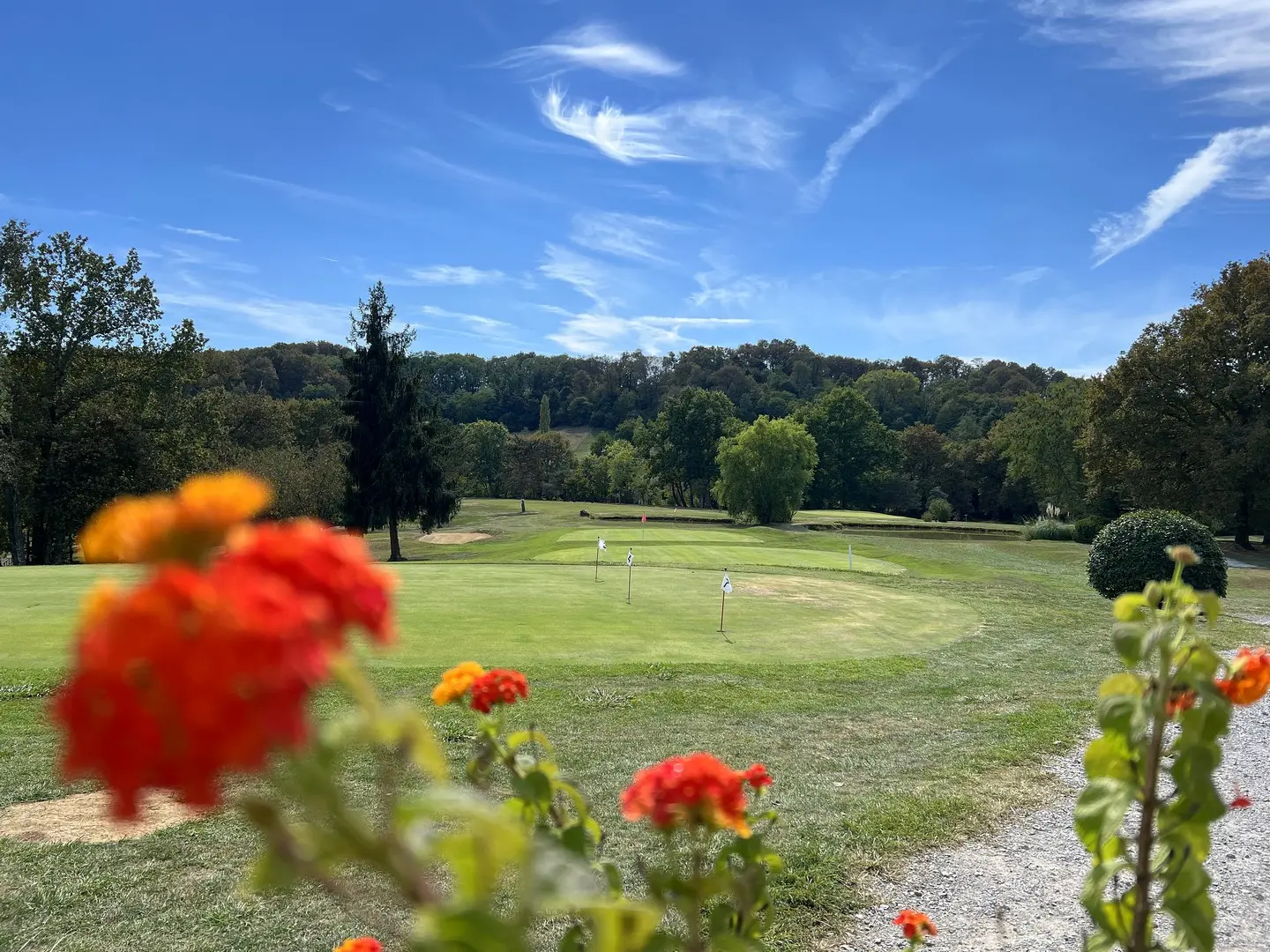 Vue sur le parcours de Salies-de-Béarn, avec des fleurs au premier plan.