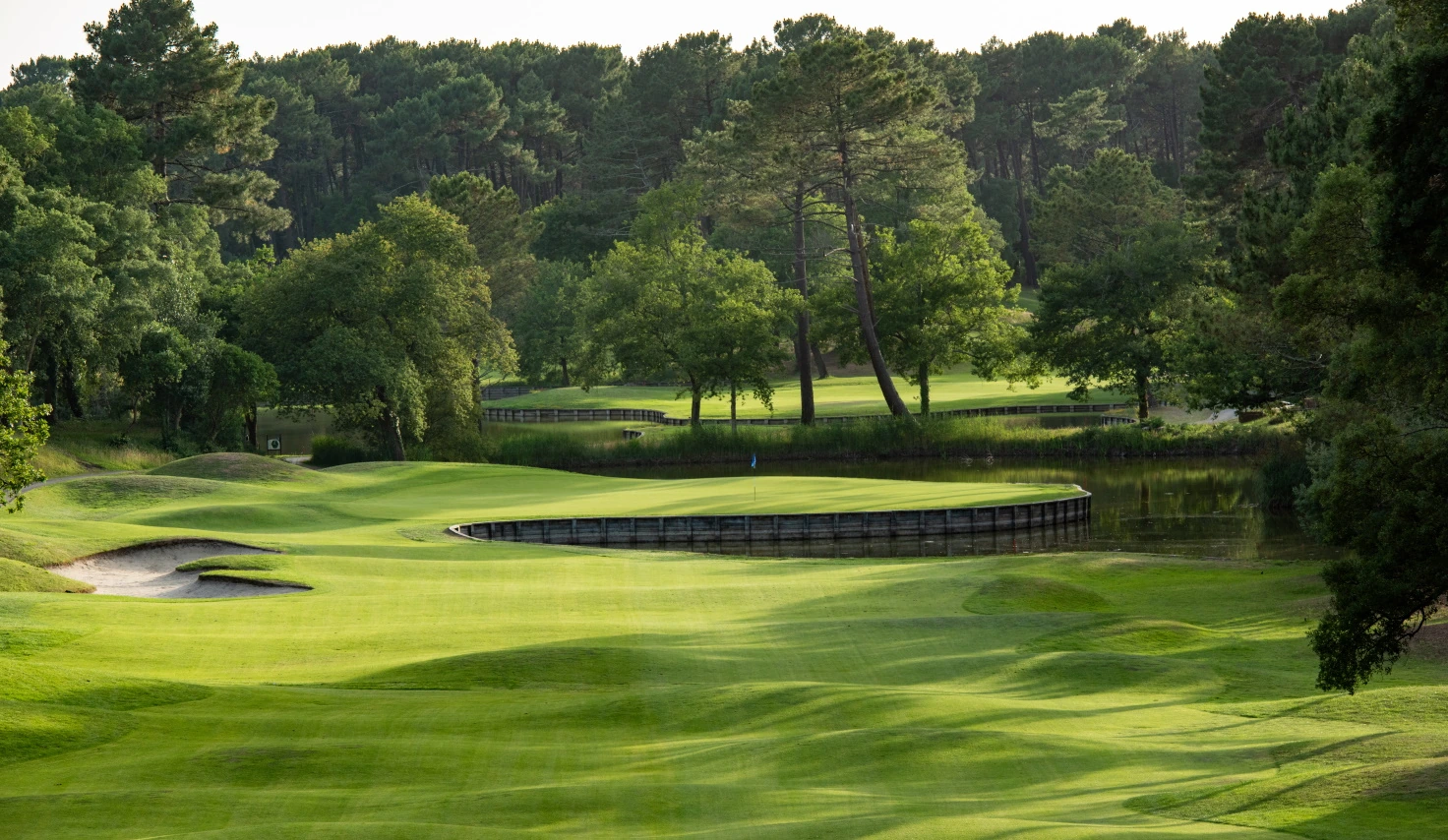 Green, bunker et pins au Golf de Seignosse.