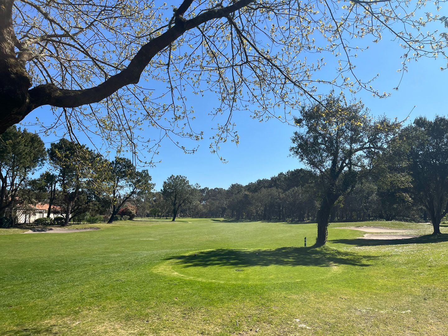 Vue du trou 3 du Golf de Soustons-Pinsolle, avec un bunker et des arbres.