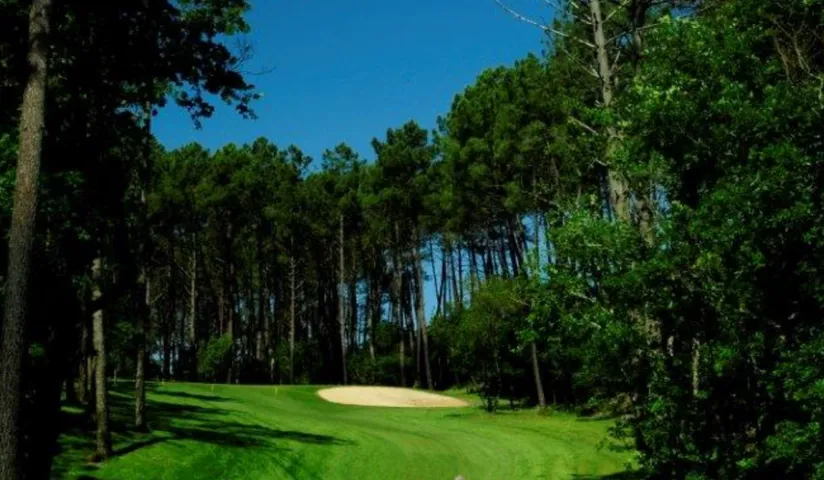 Green et bunker dans les pins au golf municipal de Mimizan.