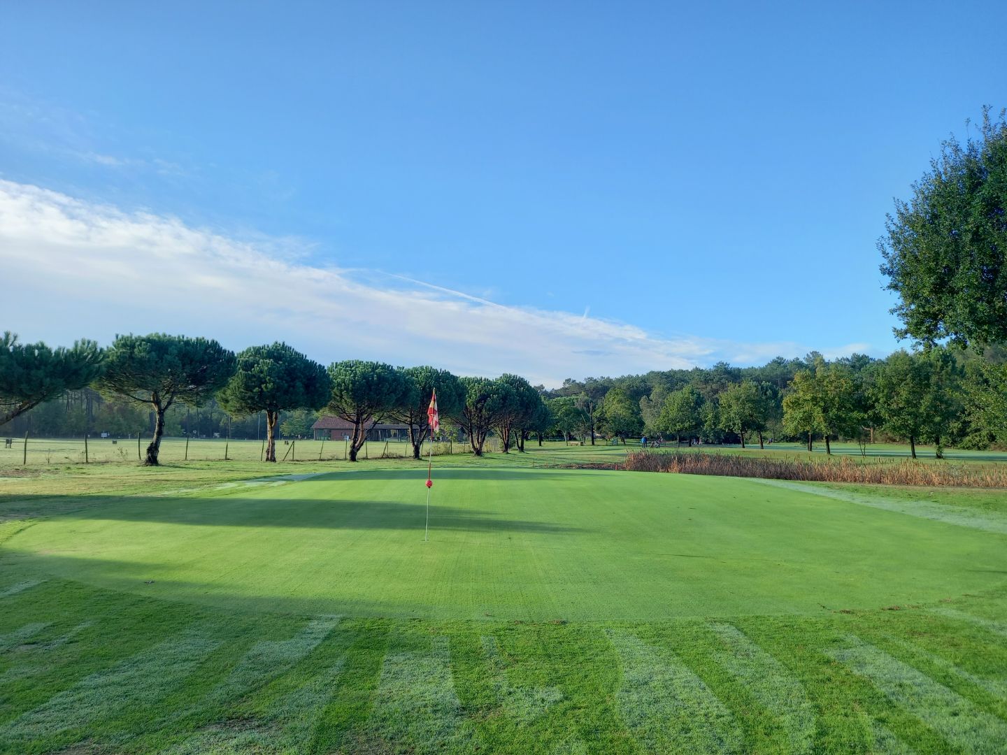 Green du Golf de Mimizan bordé d’arbres.