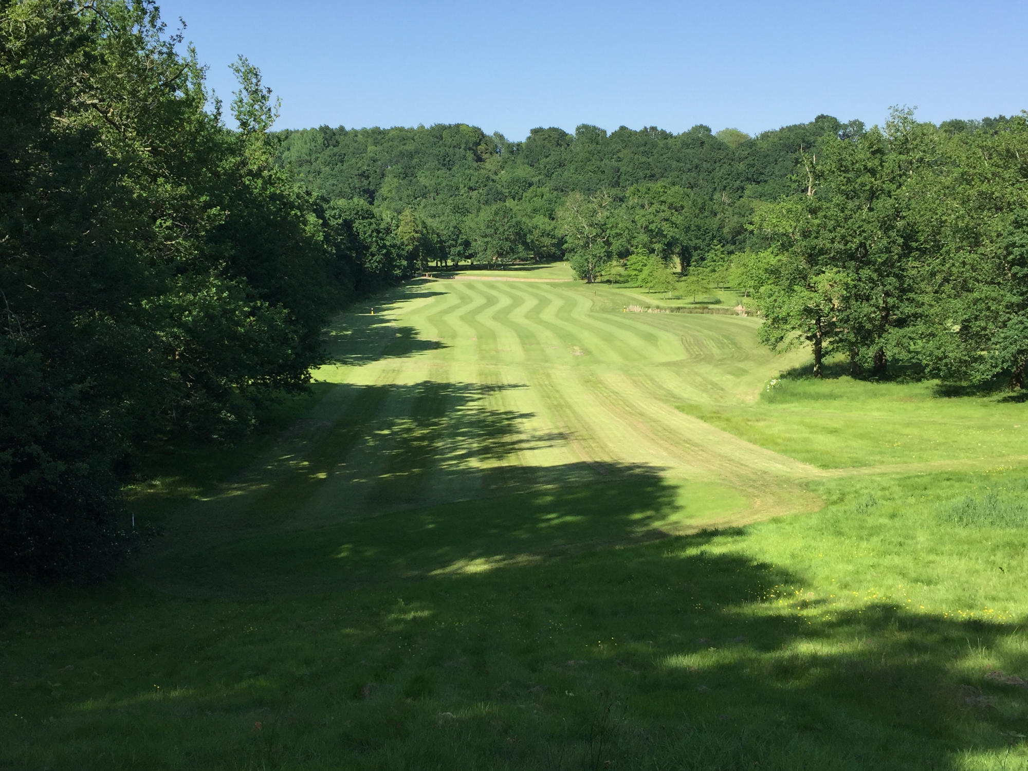 Fairway des Greens d’Eugénie bordé d’arbres.