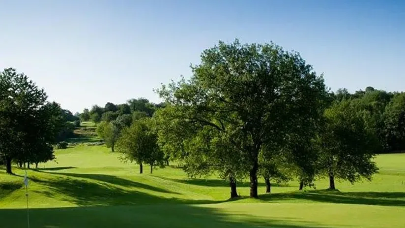 Fairway ombragé de chênes