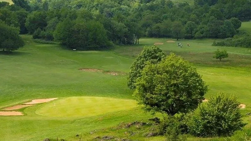 Green et bunker au milieu de la végétation