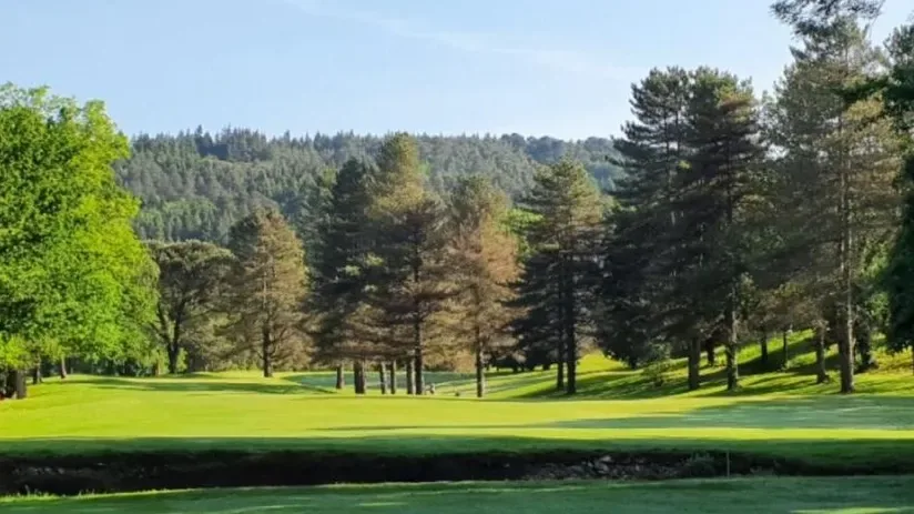 Fairway et obstacle d'eau sous les pins