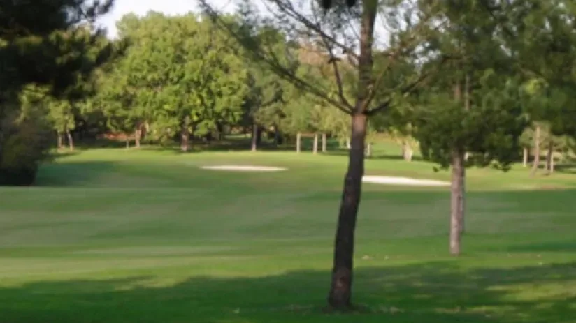 Bunkers et pins sur le parcours