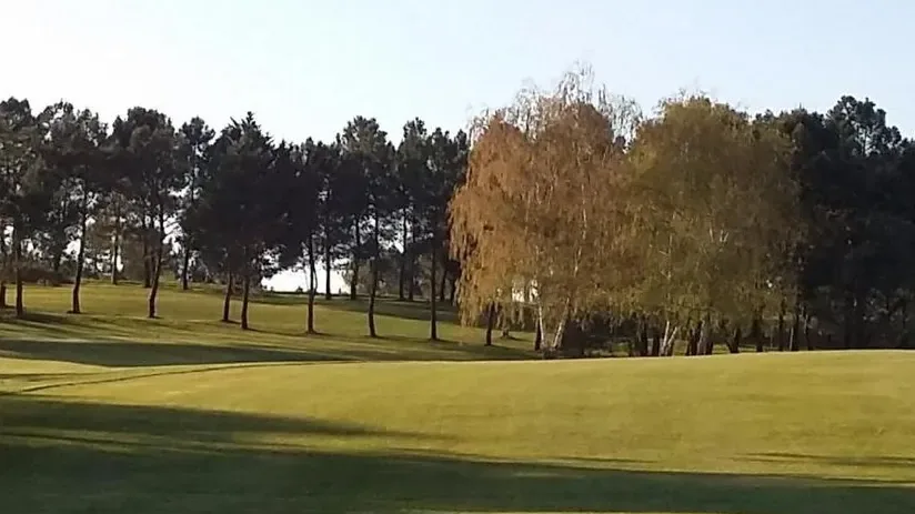Fairway et bouquet d'arbres sous un ciel dégagé