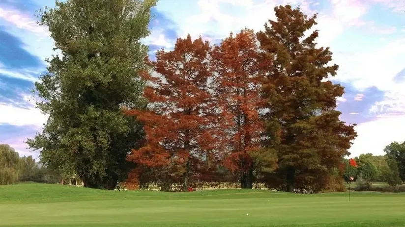 Arbres aux couleurs d'automne en bordure de fairway