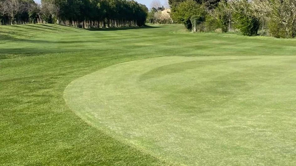 Green et fairway bordés d’arbres au Golf du Ventoux-Orange