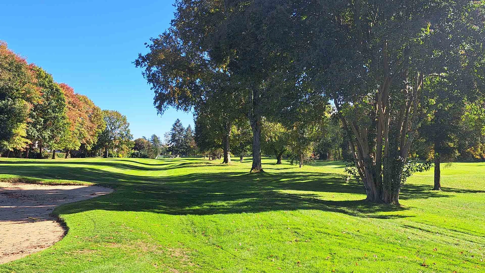 Fairway bordé d’arbres et bunker au Pau Golf Club 1856.