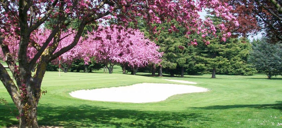 Green, bunker blanc et arbres fleuris au Golf de Lyon Verger.