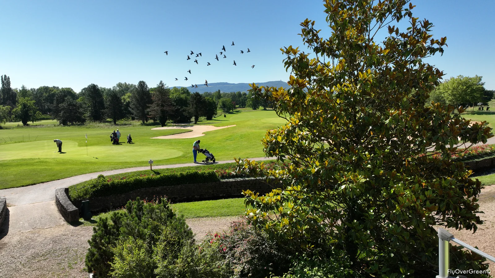 Passerelle et fairway du Golf du Beaujolais.