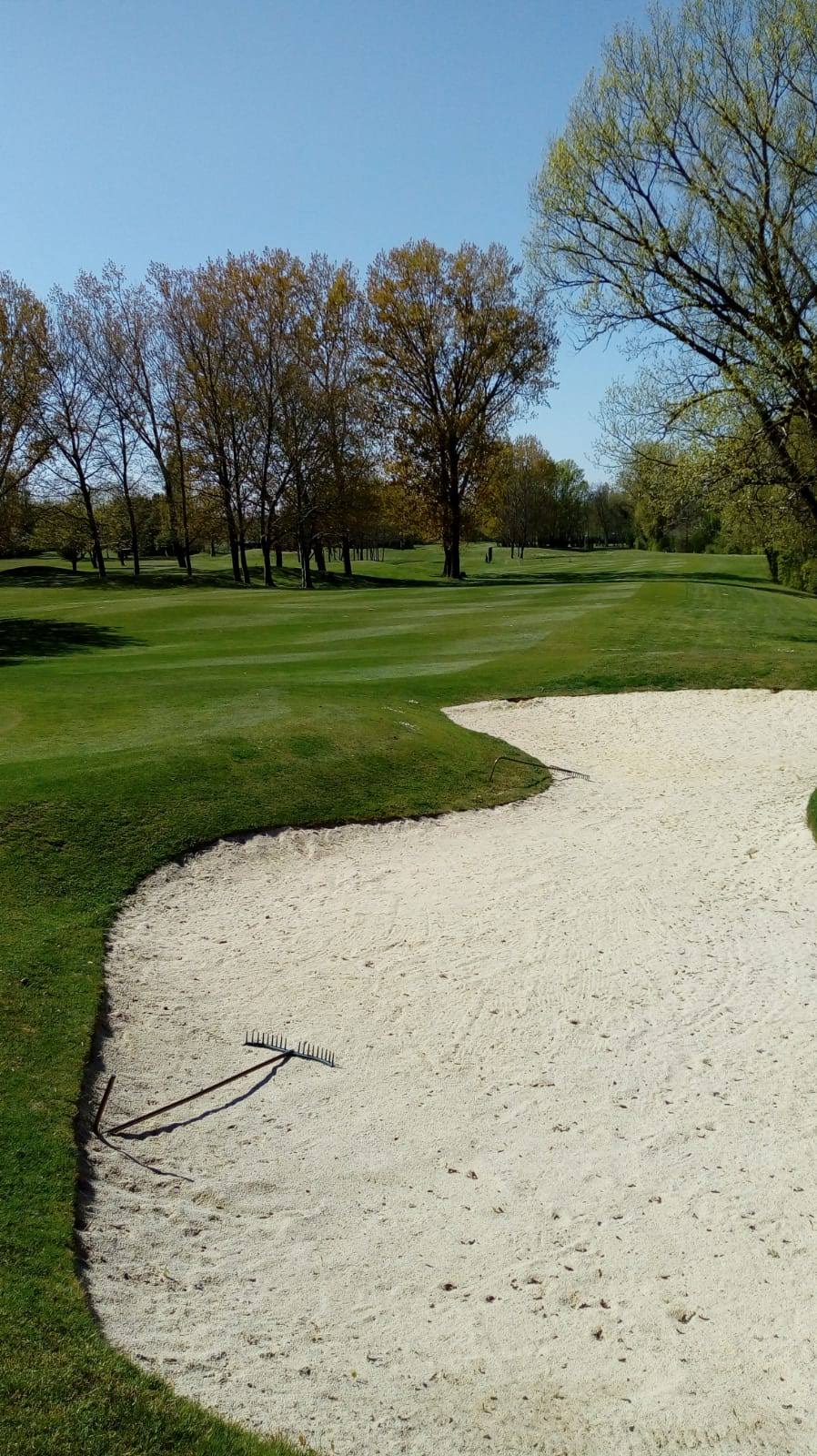 Bunker et green du Golf du Grand Parc Miribel Jonage au printemps 2020.