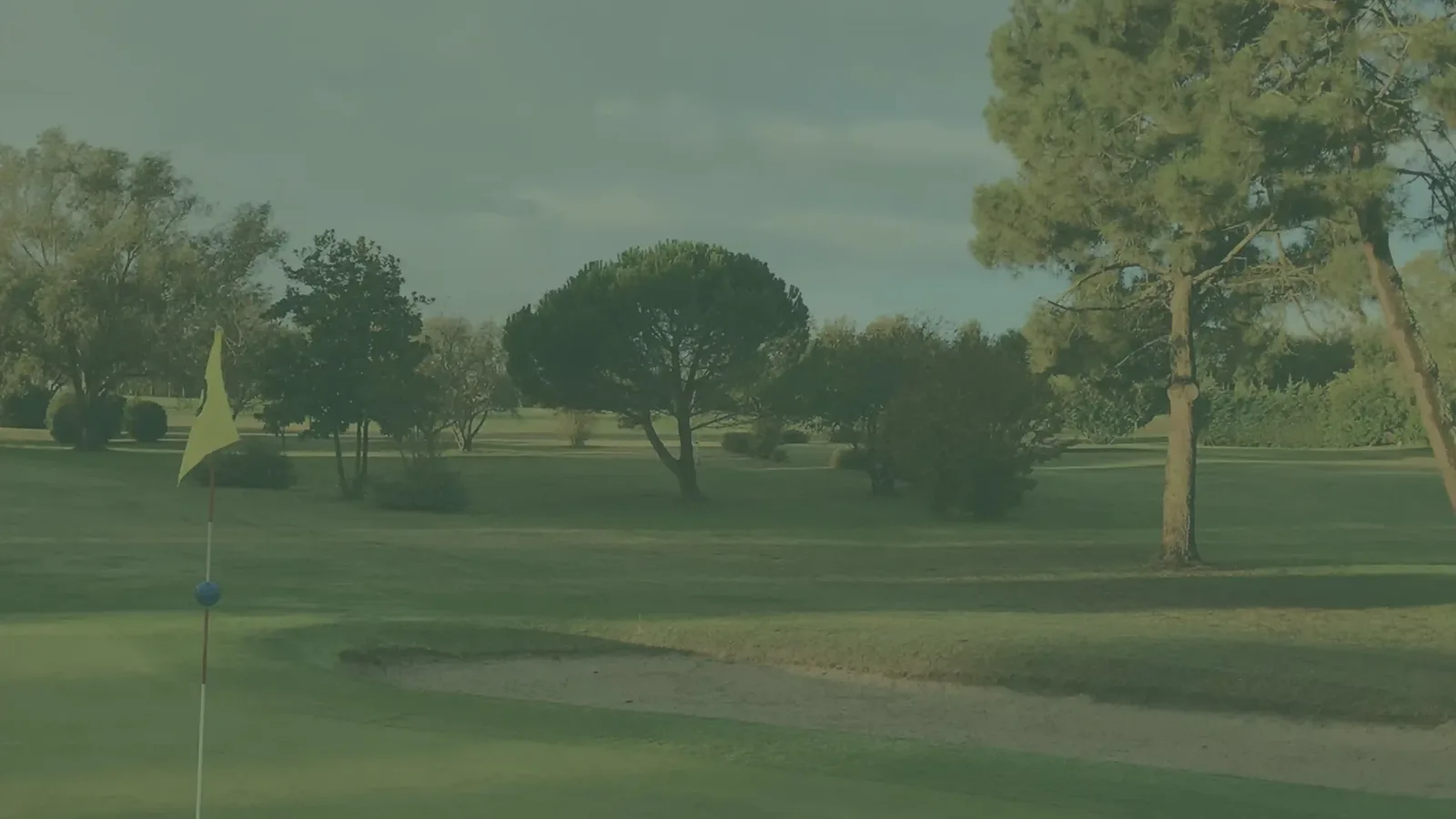 Vue arborée du parcours d’Albret Golf Experience.