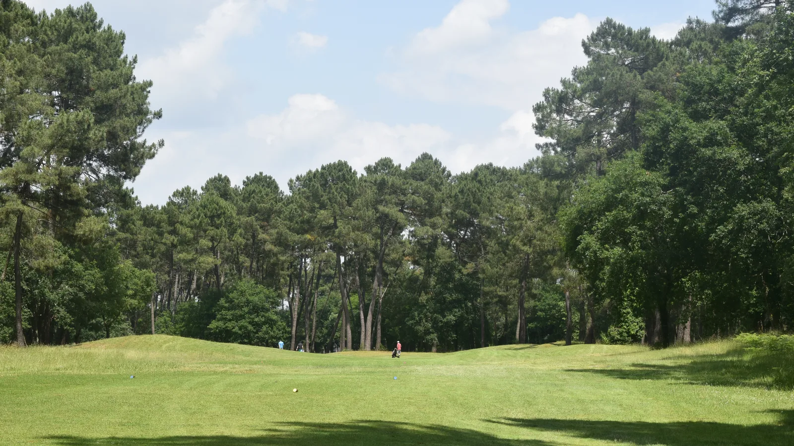 Green au cœur des arbres au golf de Casteljaloux.